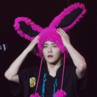 Bunnyzen (@junjin_2205) 's Twitter Profile