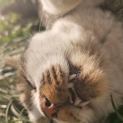 nobelheaven1819's profile picture. 