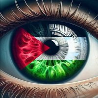 Bin Yahya (@binyah22191) 's Twitter Profile