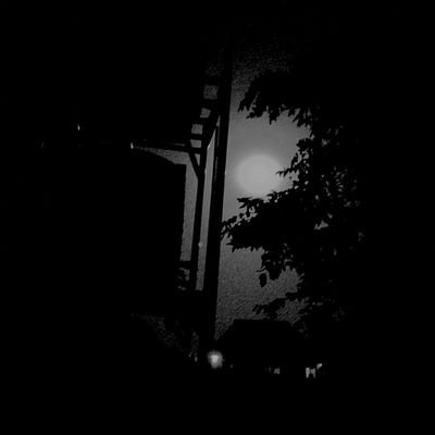 OfKind1254's profile picture. COD