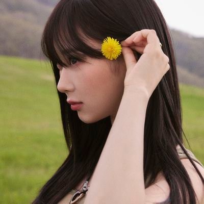 seikachandesu's profile picture. 