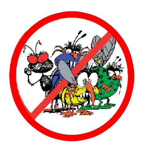 pestcontrol2ed's profile picture. 
