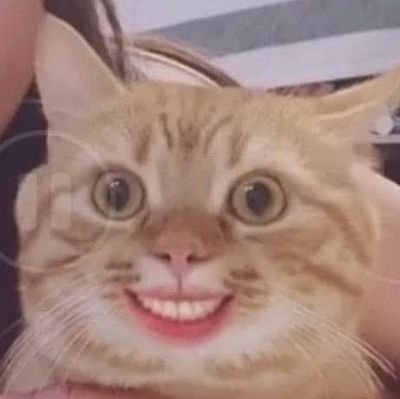 Hoshiさんのプロフィール画像