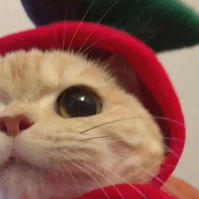 mrs_snowdrop Profile Picture