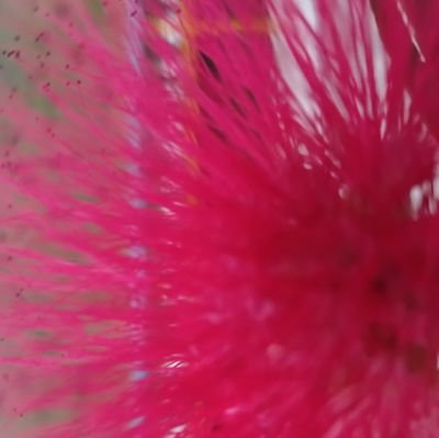 bhat28342's profile picture. खरानि भैसकेको व्यक्तिलाई आगोसँग केको डर ।❤️🌸