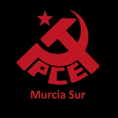 PCE_MurciaSur 🔻🇵🇸 Profile
