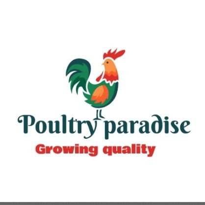 tychai59882's profile picture. We are a poultry farm that is specialized in broilers as well as training.