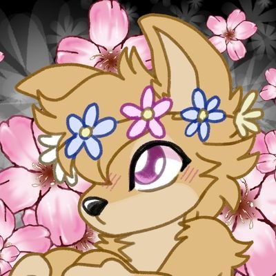 Shiba 🌸さんのプロフィール画像
