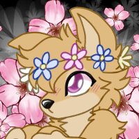 Shiba 🌸 (@shibabea) 's Twitter Profile