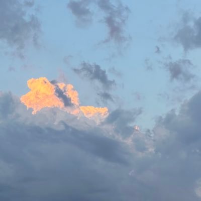 souduvidoso's profile picture. chaotic neutrality