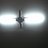 fastcitizen10's profile image