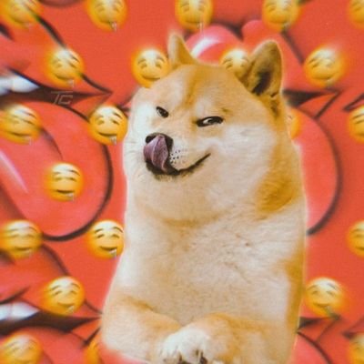 Namoji446311's profile picture. 