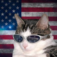 SpaceCatMemes👾(@SpaceCatMemes) 's Twitter Profile Photo