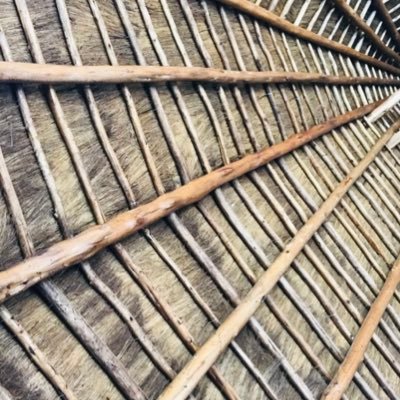 CathyFlavi44389's profile picture. 