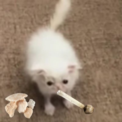 CrackCatsol's profile picture. Just a Cat that just addicted to crack 🐈 $CCAT