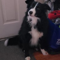 Retro Lenny LLAP 👽🖖 (@lenken215) 's Twitter Profile