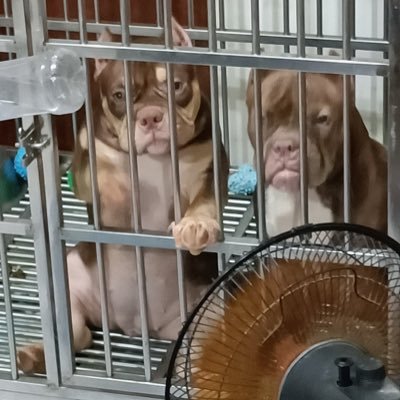 MingQi70631's profile picture. 走走看看