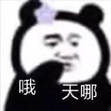 chenya521's profile picture. 