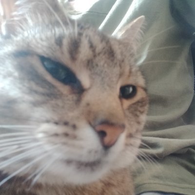 RelativityDeve1's profile picture. Software Developer