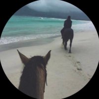 سما (@a_f1197) 's Twitter Profile