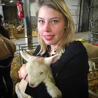 Gwenaëlle Desrumaux (@gwendsrmx) 's Twitter Profile