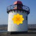 Plaid Cymru Penbre a Porth Tywyn (@plaidpbp) Twitter profile photo Plaid Cymru Penbre a Porth Tywyn (@plaidpbp) Twitter profile photo