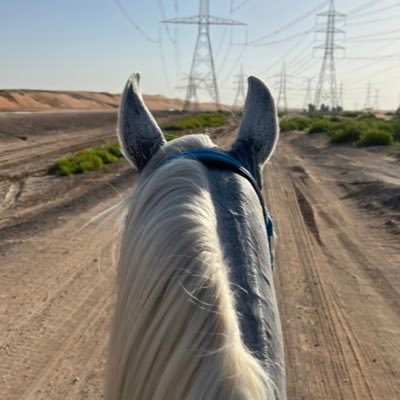 النفس تقبل مثل ما تقبل الخيل و تصد .. لو ان النعم مستديمه