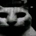 PepeNJ_ (@pepenj_) Twitter profile photo PepeNJ_ (@pepenj_) Twitter profile photo