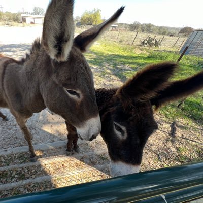 Joe54187679's profile picture. People