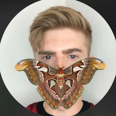 Insecthaus_adi's profile picture. YouTube: InsektenhausTV
