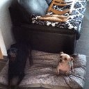 baert steven - @baert_steven - Twitter