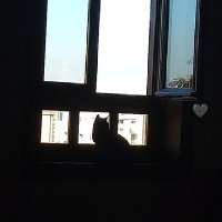 Ahlas (@alcitozu) 's Twitter Profile
