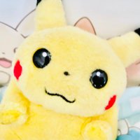 さくらもち🌸 (@sakura_ohana0) 's Twitter Profile