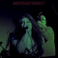 IndifferentMonKeY - BBC6music pick 4 major fest(@IndifferentM) 's Twitter Profile Photo