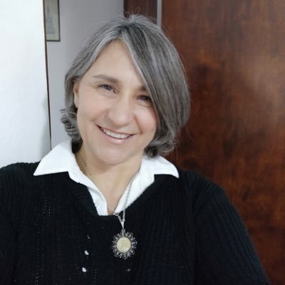 I am an Associate Professor at UNICEN with an interest in developing technological devices for cognitive training and recreational activities for older adults.