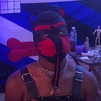 the adhd pup Space (@adhdpup) 's Twitter Profile