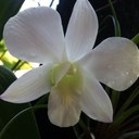 grisel garcia - @griselgarciavaz - Twitter