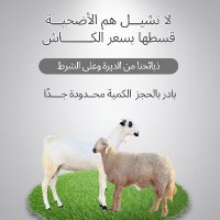 ارياف حلي (@arayf_7ali) 's Twitter Profile