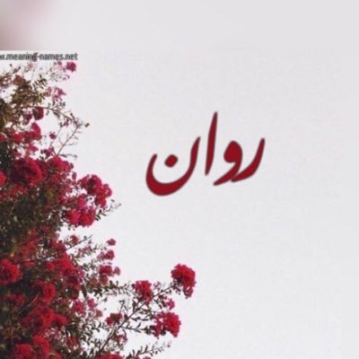 ra2000n_3's profile picture. IT/Networking 🖥️-محبة للتصوير📸.