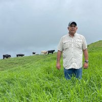 Roberto Linares (@rolinarest) 's Twitter Profile
