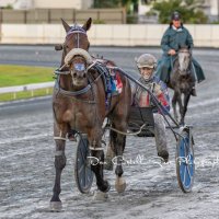 Angus Garrard (@garrard_angus) 's Twitter Profile