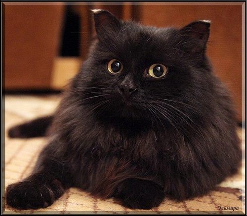 androan44's profile picture. 