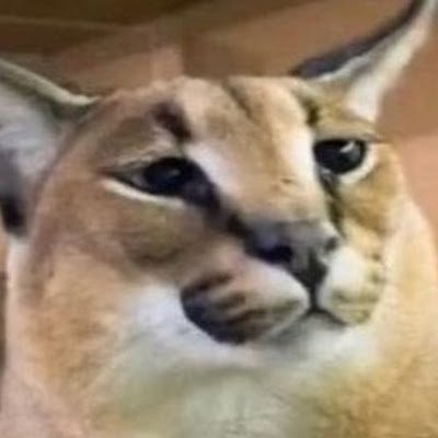 esseggi250962's profile picture. 