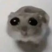 que onda?さんのプロフィール画像