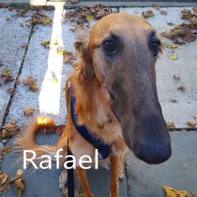 SomeOtherEvis's profile picture. priv account :p / 20