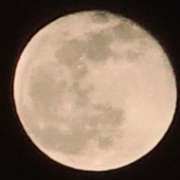 Pepe (@josevasquez153) 's Twitter Profile