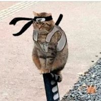 karma (@karmashingeki1) 's Twitter Profile
