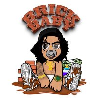 TiBab (@brickbab) 's Twitter Profile
