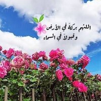 nabile botri (@nbotri66350) 's Twitter Profile