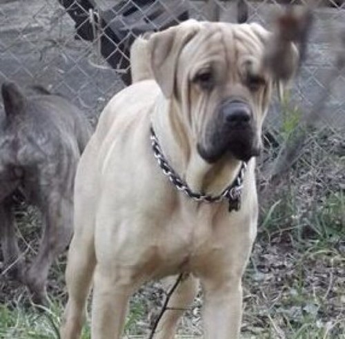 DauwdClark's profile picture. 